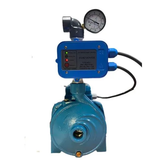 Bomba City Pedrollo 1 Hp & Press Control Dps1 110-220v Combo