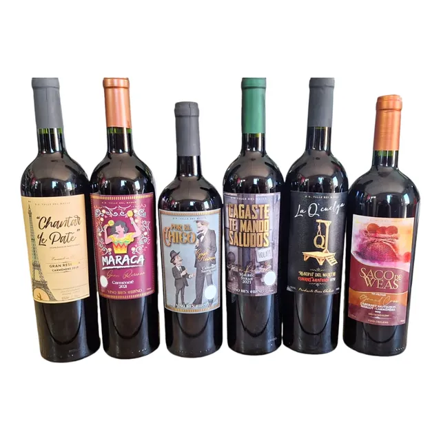 6x Vinos Tinto Gran Reserva Insolentes Carmenere 2019 750 Ml