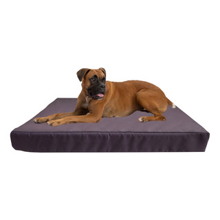 Cama Colchoneta Para Perros Lola Pets Antidesgarro 75x50 Cm Cama Colchoneta Para Perros Lola Pets Antidesgarro 75x50 Cm