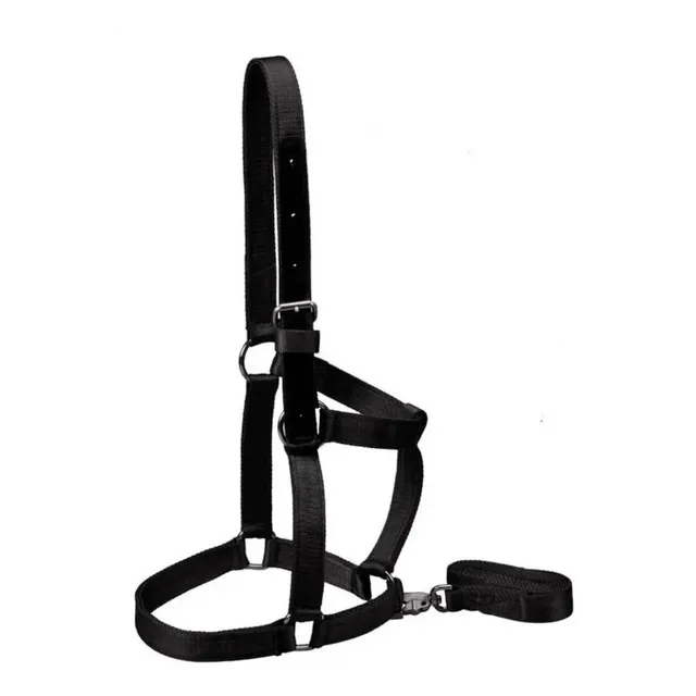 Bozal Nylon Reforzado Caballo Grande Cabestro Mosqueton