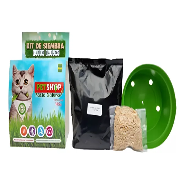 Kit Siembra Hierba Gatuna Pasto Digestivo Catnip Para Gatos