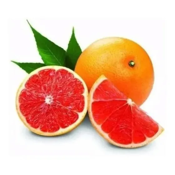 Muda De Laranja Sanguinea