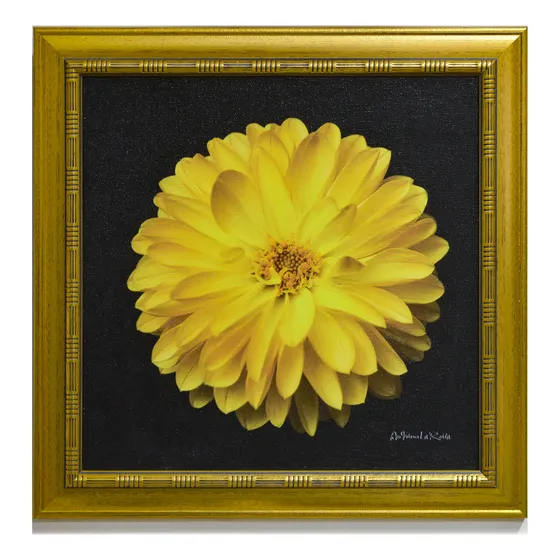 Cuadro Flor Decorativo Con Marco En Lienzo Giclée Idekoart