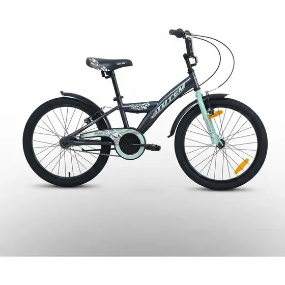 Bicicleta Infantil Totem Street Machine Aro 20 para Niños