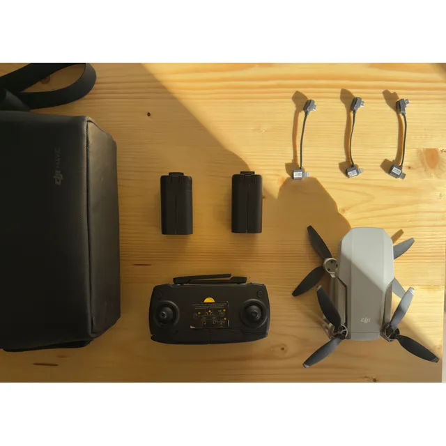 Drone Dji Mavic Mini Gris