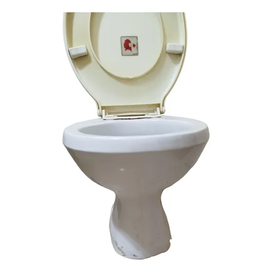 Inodoro Roca Con Asiento Completo Excelente Estado