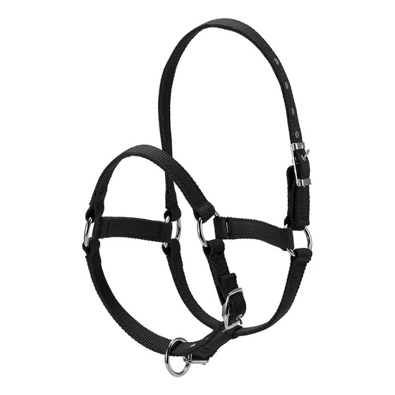 Brida De Cuello Con Cabeza De Caballo Ajustable De 6 Mm De G