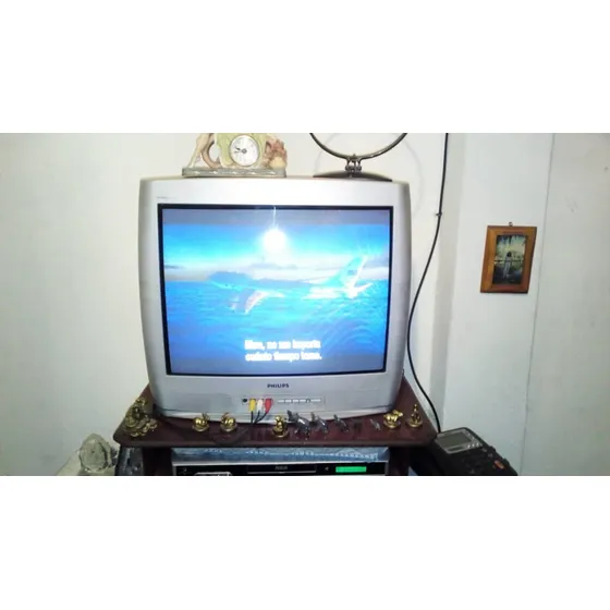 Tv Philips 21 Pulgadas 