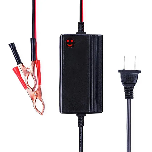 Cargador Para Bateria Carro Moto Lancha Nuevo