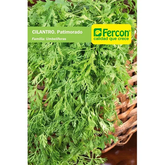 Semillas Hortalizas Cilantro Nacional Patimorado Fercon