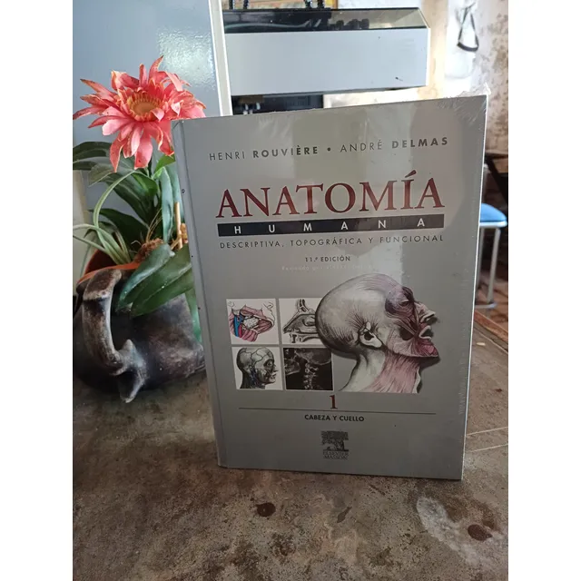 Anatomía Humana De Rouvière Y Delmas - Editorial Masson