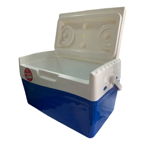 Lunchera 6 Litros Conservadora Heladera Portatil Magiclick