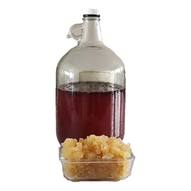 Kefir Tibicos De Agua (100gr +100gr Panela)