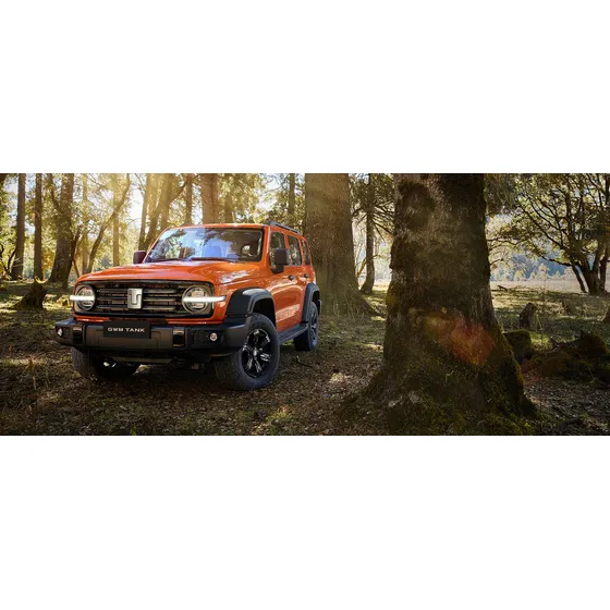 Gwm Tank 300 2.0 4wd At