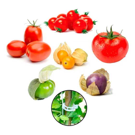 6 Sobres De Semillas Jitomates Y Tomates, Con Tutor Y Piola