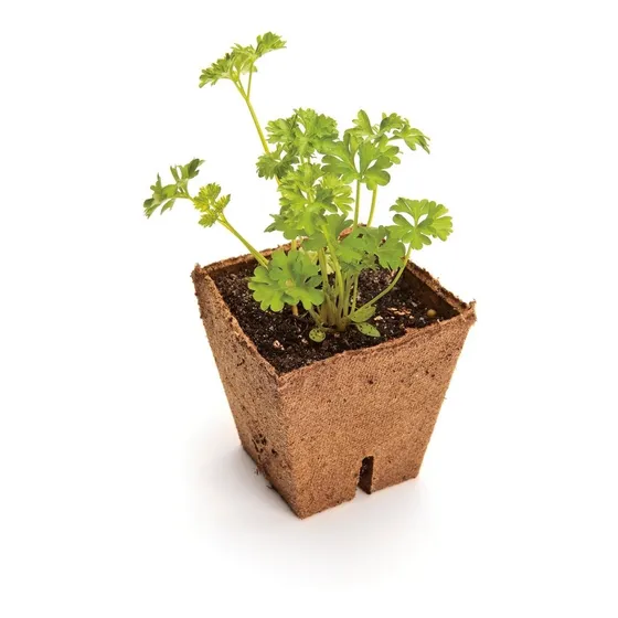 Maceta Biodegradable Jiffy Pot  5 X 5,5 X 3,4  (25 Unidades)