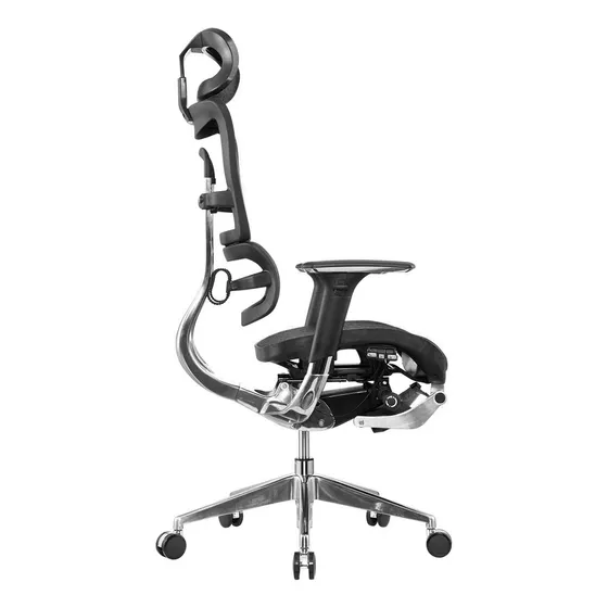 Cadeira Ergonômica Alto Padrão Com Suporte Pernas Ergohaus Cor Preto