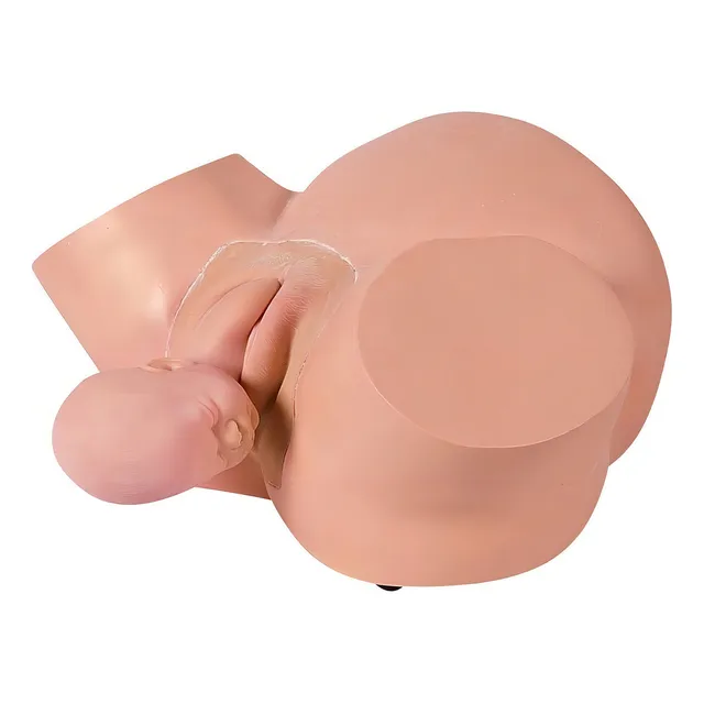 Simulador De Parto Cefálico E Parto Pélvico
