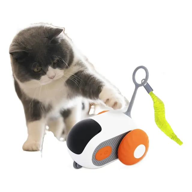 Juguete Gato Carrito Interactivo Pelota Pescado Lase