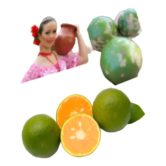 Árbol Citrus X Limon 100 Cm En Maceta - Limonero Paraguayo