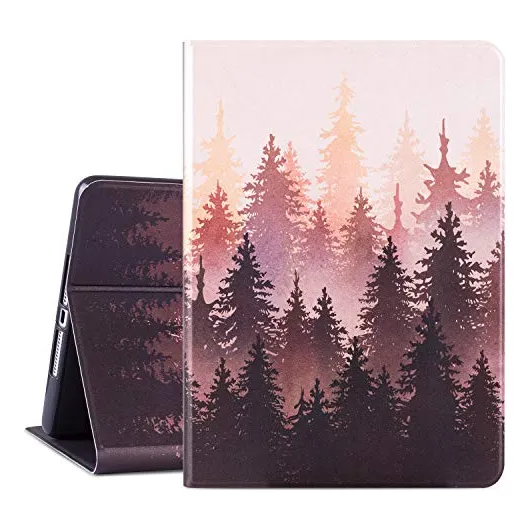 iPad 9.7 Case,iPad 5th 6th Generation Case, iPad Air 5d41w