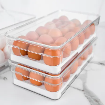 Organizador De Geladeira Porta Ovos 18 Unidades Com Tampa Transparente