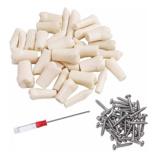 Paquete De Dientes Compatibles Nissin 32 Dientes Tipodonto Paquete De Dientes Compatibles Nissin 32 Dientes Tipodonto
