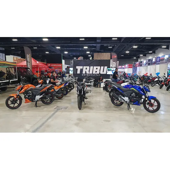 Marca Tribu 200 Cc. Monoshock.