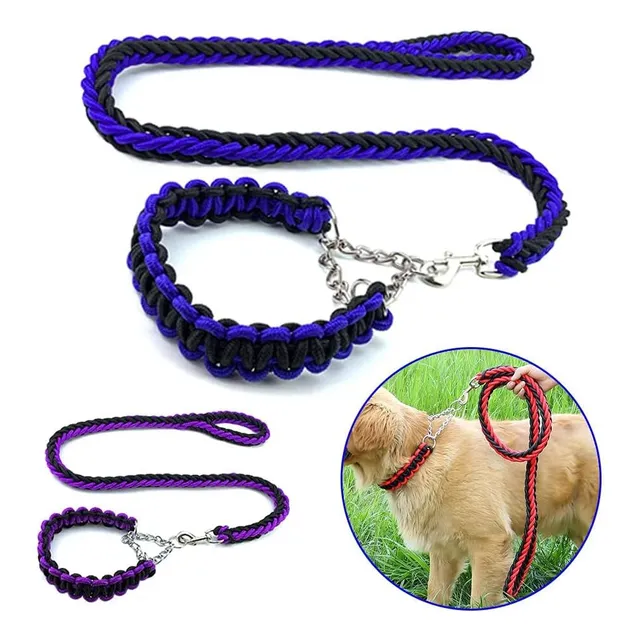 Collar Semi Ahorque Con Correa Cuerda Trenzada Para Perro