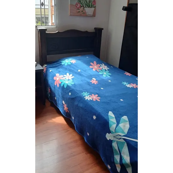 Cama De Madera Sencilla Usada