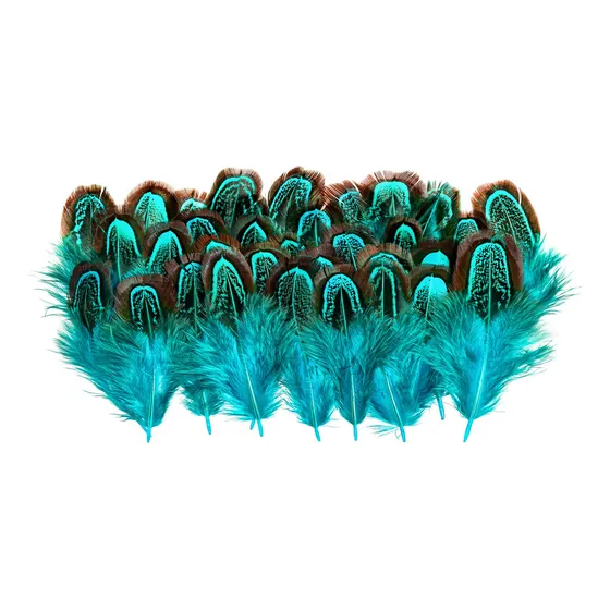 Piokio 50 Pluma Natural Faisan Azul Lago Granede 5 2.8 In
