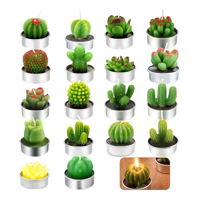 18pcs Velas Aromaticas Decorativas Cactus Suculenta Verdes