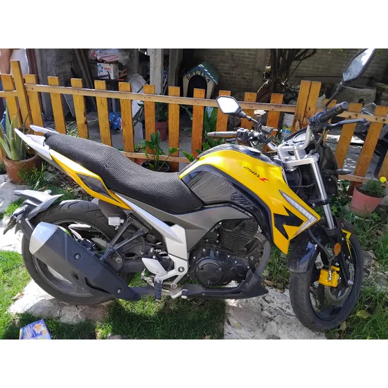 Moto 250sz 2023
