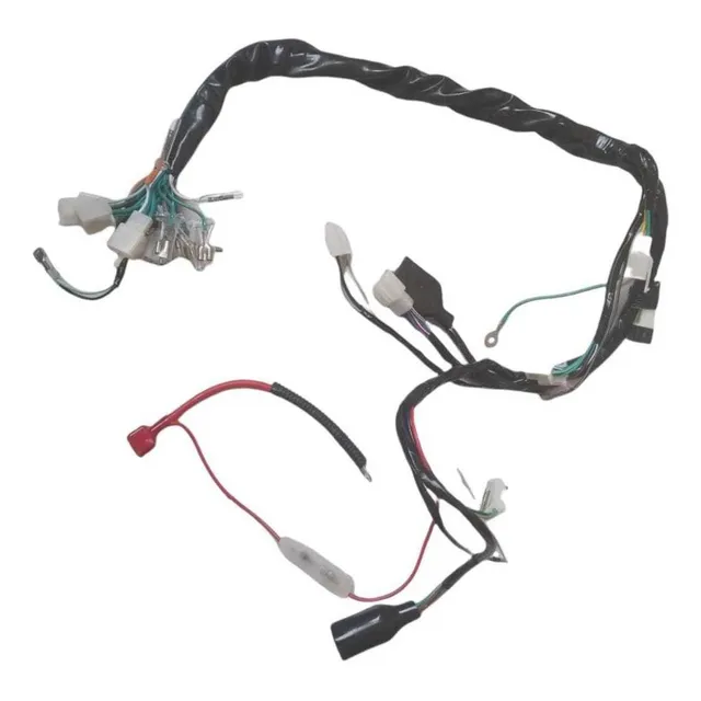Ramal Eléctrico Bera 200