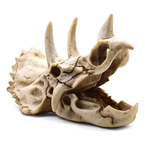 Resina Dinosaurio Triceratops Imitación Cráneo Modelo K7gc1