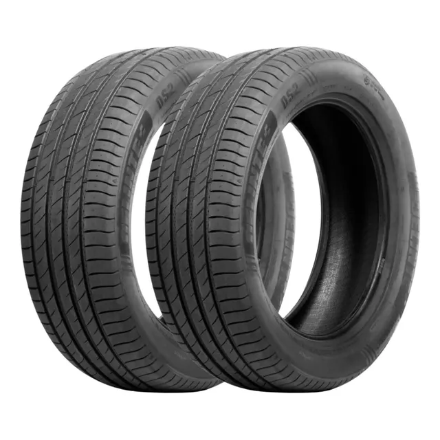 Kit 2 Pneu Delinte Aro 17 235/50r17 96w Ds2