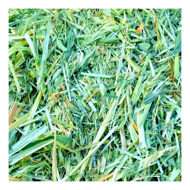 Heno De Alfalfa/avena/timothy Pasto  1 Kg P/ Conejo Cuyo