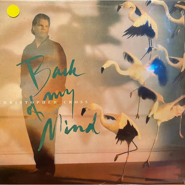 Disco Lp - Christopher Cross / Back Of My Mind