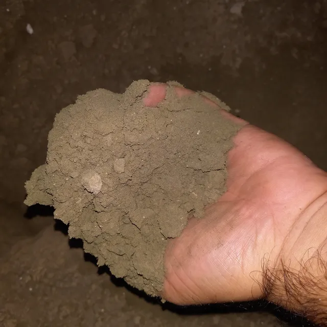Palmiste 16% Proteína Animal 