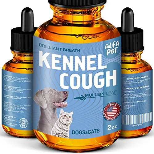 Tos De Perro - Tos De Kennel - Alivio De La Alergia 1nvwg