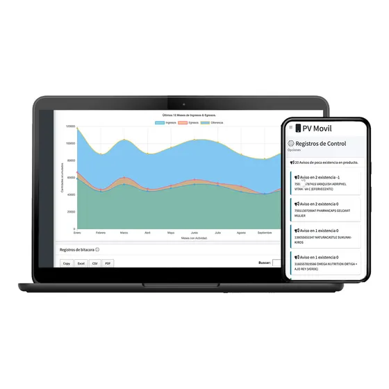 Sistema Terminal Punto De Venta Para Tu Negocio / Adaptable