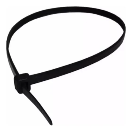 Precinto De Nylon Negro (100u) 250 X 4,8 Mm Wteb5255048