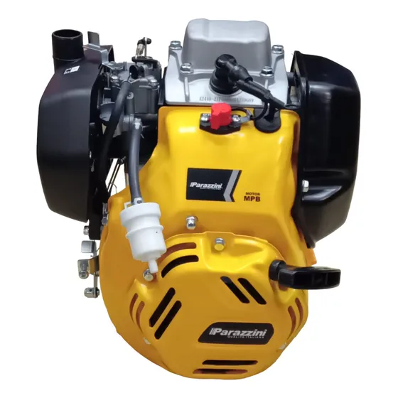 Motor Parazzini Para Bailarina 5.5hp Todopartes + Msi