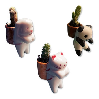 3 Mini Maceta Conejo Panda Gatito Cerámica 3 Mini Maceta Conejo Panda Gatito Cerámica
