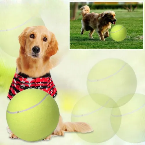 9.5  Gran Gigante Mascota Perro Cachorro Tenis Lanzador Chuc