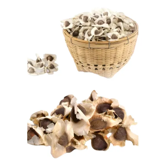 300 Semillas De Moringa Orgánicas Natural