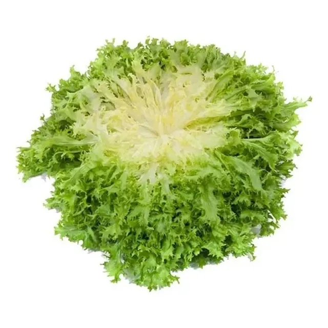 Semillas Huerto Premium: Hortalizas Y Hierbas - Variedad