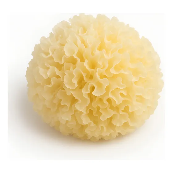 Tremella Hongo Entero-potente Hidratador De Piel Natural500g