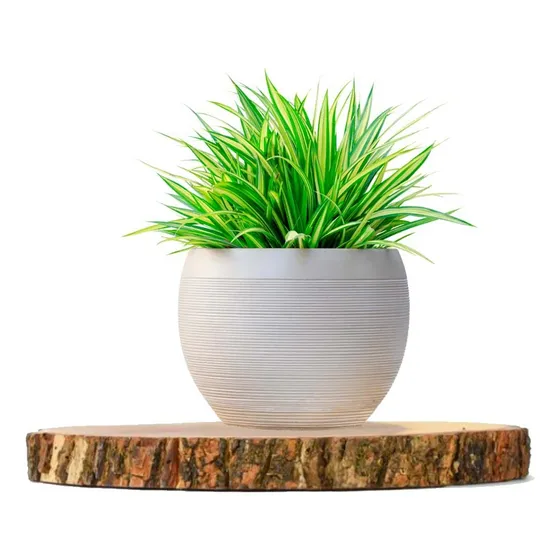 Pack2 Ho32307 Bandeja Circular De 25.4cm Para Decoracion En