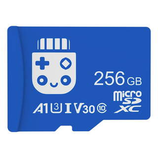 Tarjeta De Memoria Bitecool Micro Sd Card 256gb Class 10 Tarjeta De Memoria Bitecool Micro Sd Card 256gb Class 10